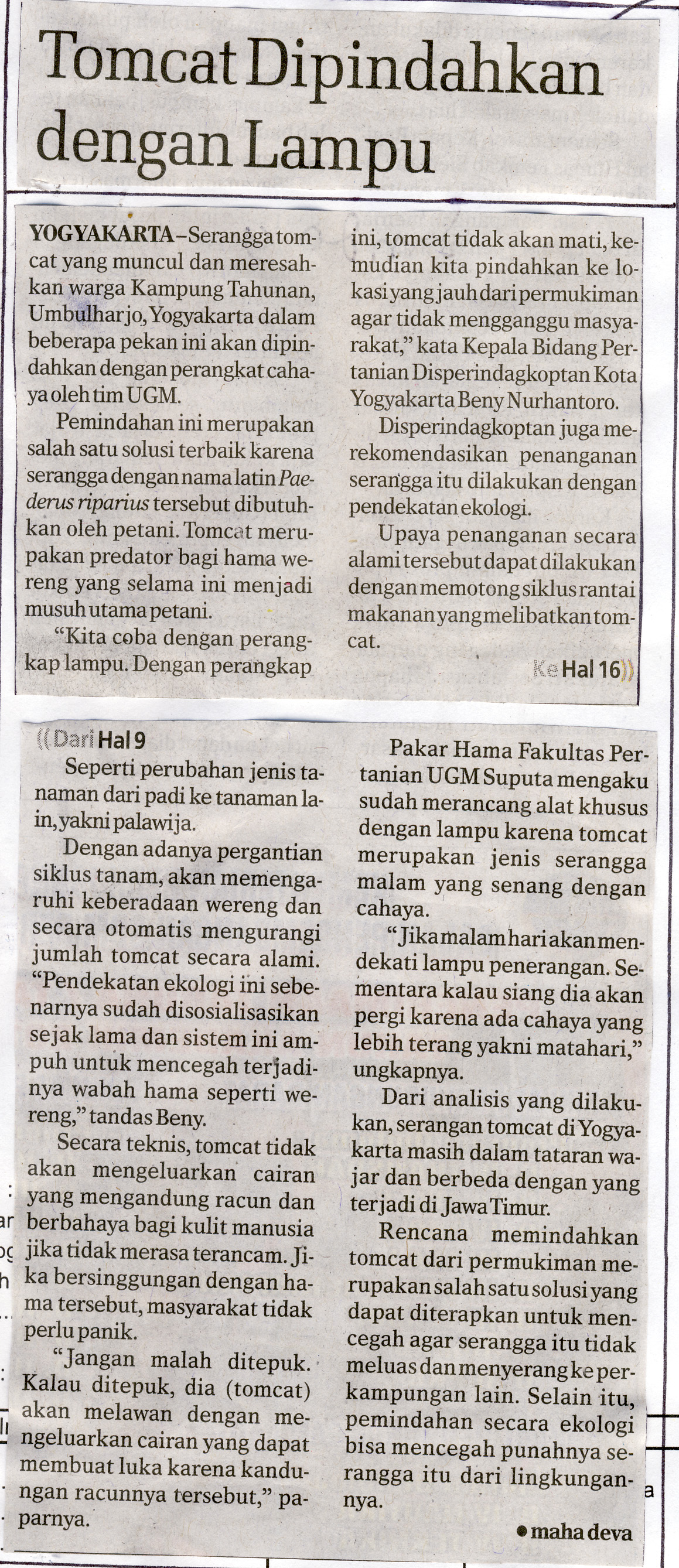 Kliping jogja terbaru